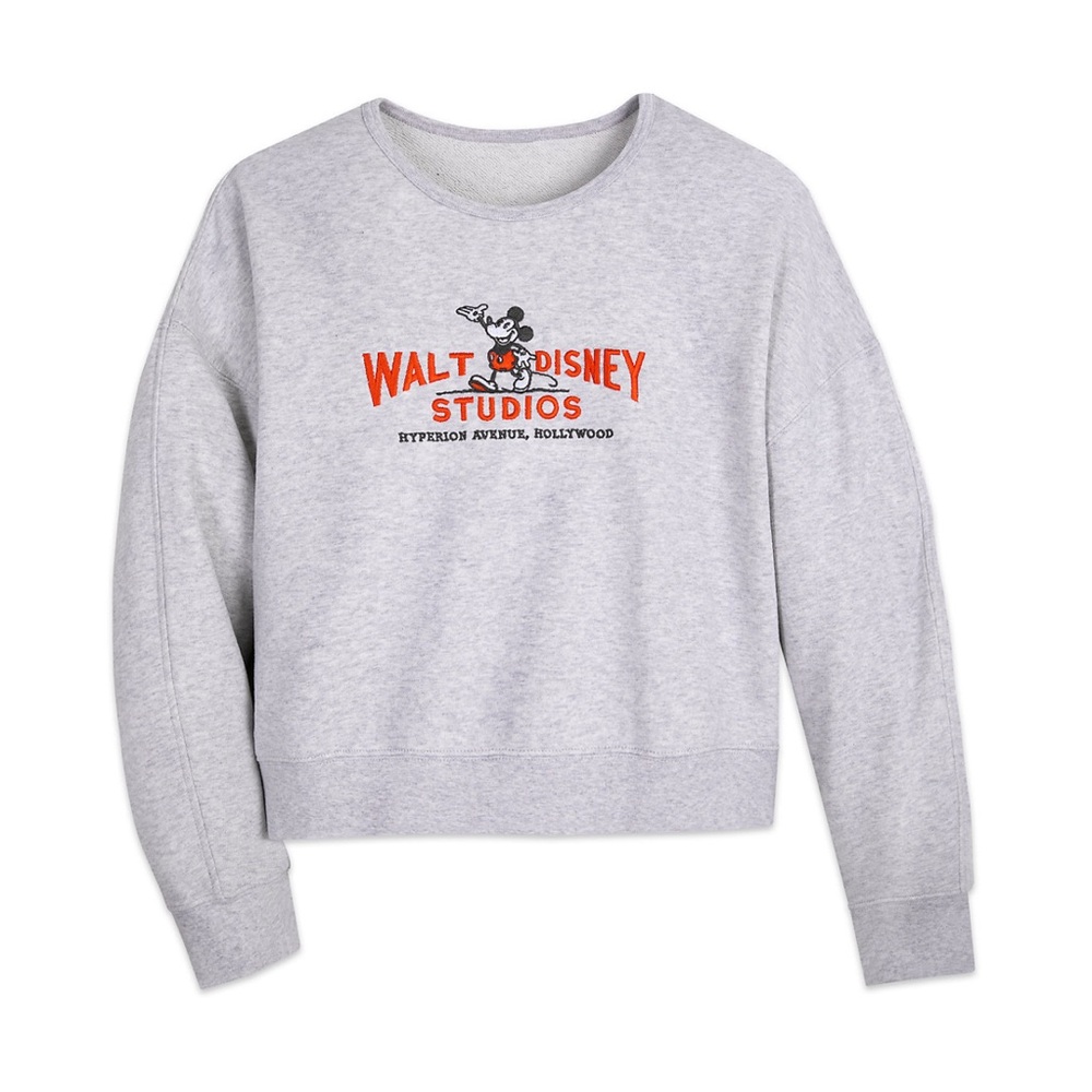 NWT Walt Disney Studios Sweatshirt. Thinner sweatshirt and slightly cropped.